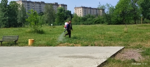 У м.Мала Виска Маловисківської громади обробляли берегову зону  річки Вись та міський парк від кліщів